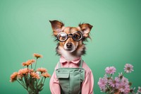 Glasses dog portrait mammal. 