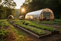 Outdoors architecture greenhouse gardening. 