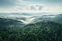 Forest landscape outdoors nature. AI generated Image by rawpixel.