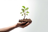 Plant planting nature leaf. AI generated Image by rawpixel.