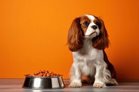 Dog spaniel animal mammal. AI generated Image by rawpixel.