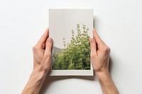 Hand holding nature finger. AI generated Image by rawpixel.
