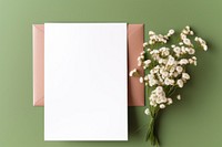 Envelope flower plant green. AI generated Image by rawpixel.