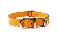 Collar buckle belt white background. 