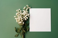 Flower paper plant green. AI generated Image by rawpixel.