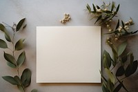 Plant rectangle absence paper. AI generated Image by rawpixel.