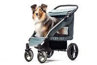 Dog stroller vehicle mammal. AI generated Image by rawpixel.