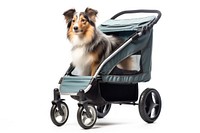 Dog stroller vehicle mammal. 