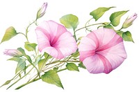 Hibiscus flower plant rose. AI generated Image by rawpixel.