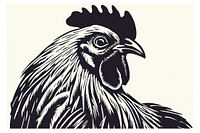 Chicken poultry animal black. 