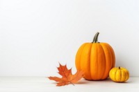 Pumpkin vegetable squash plant. 