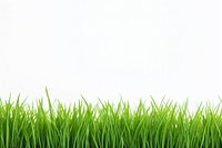 Grass green backgrounds plant. AI generated Image by rawpixel.