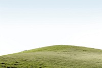 Hill grassland outdoors pasture. 