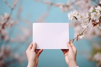 Outdoors blossom holding flower. 