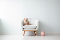 Chair furniture mammal animal. AI generated Image by rawpixel.