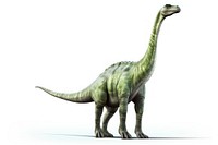 Dinosaur reptile animal white background. 