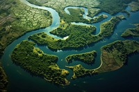 River vegetation outdoors nature. 