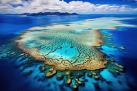 Great barrier reef outdoors nature island. 