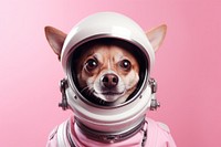 Astronaut dog mammal animal. AI generated Image by rawpixel.