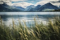 Mountain grass lake reflection. AI generated Image by rawpixel.