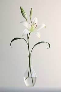 Lily vase flower plant. AI generated Image by rawpixel.