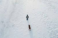 Winter snow dog landscape. AI generated Image by rawpixel.