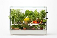 Container vegetable gardening plant. AI generated Image by rawpixel.
