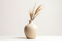 Vase plant decoration simplicity. 