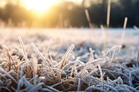 Nature frost ice landscape. 