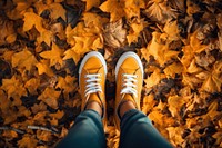 Autumn footwear sneaker leaves. 