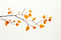 Tree branch autumn plant. AI generated Image by rawpixel.