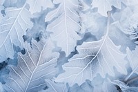 Leaf backgrounds outdoors nature. AI generated Image by rawpixel.