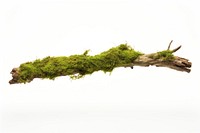 Moss branch plant green. AI generated Image by rawpixel.