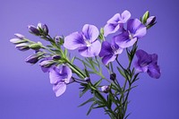 Blossom flower purple petal. AI generated Image by rawpixel.