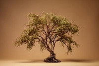 Tree bonsai plant tranquility. AI generated Image by rawpixel.
