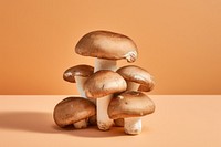 Shiitake mushroom fungus plant. 