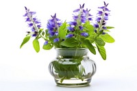 Lavender flower plant herbs. AI generated Image by rawpixel.