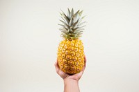 Pineapple holding fruit plant. 