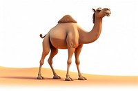 Camel mammal animal sand. 