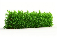 Hedge plant grass green. AI generated Image by rawpixel.