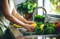 Vegetable kitchen washing adult. 