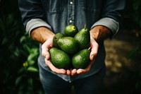 Avocado vegetable holding farmer. 