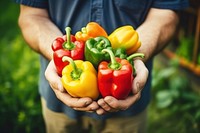 Vegetable holding pepper plant. AI generated Image by rawpixel.