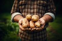 Vegetable holding farmer potato. AI generated Image by rawpixel.