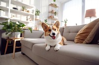 Dog furniture mammal animal. AI generated Image by rawpixel.