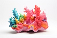 Reef white background coral reef creativity. 