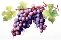 Grapes fruit plant food. AI generated Image by rawpixel.