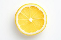 Lemon grapefruit slice plant. AI generated Image by rawpixel.