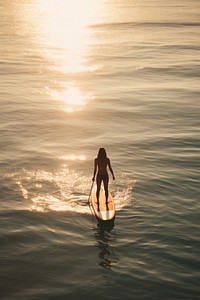 Sea sunlight outdoors surfing. 