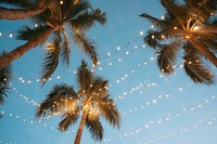 Outdoors light tree sky. 